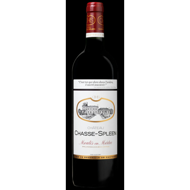 copy of Château Mouton Rothschild Pauillac Rouge