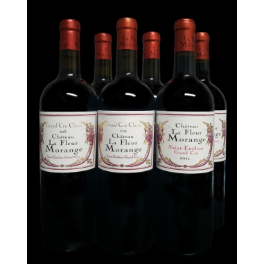 copy of Château Mouton Rothschild Pauillac Rouge